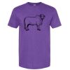 Unisex Softstyle® CVC T-Shirt Thumbnail