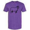 Unisex Softstyle® CVC T-Shirt Thumbnail